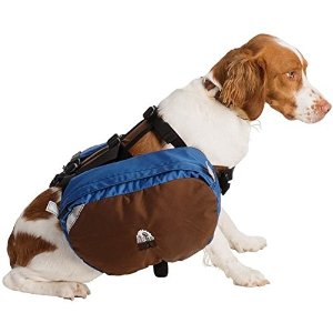 Proper Gear For Hiking With Your Dog